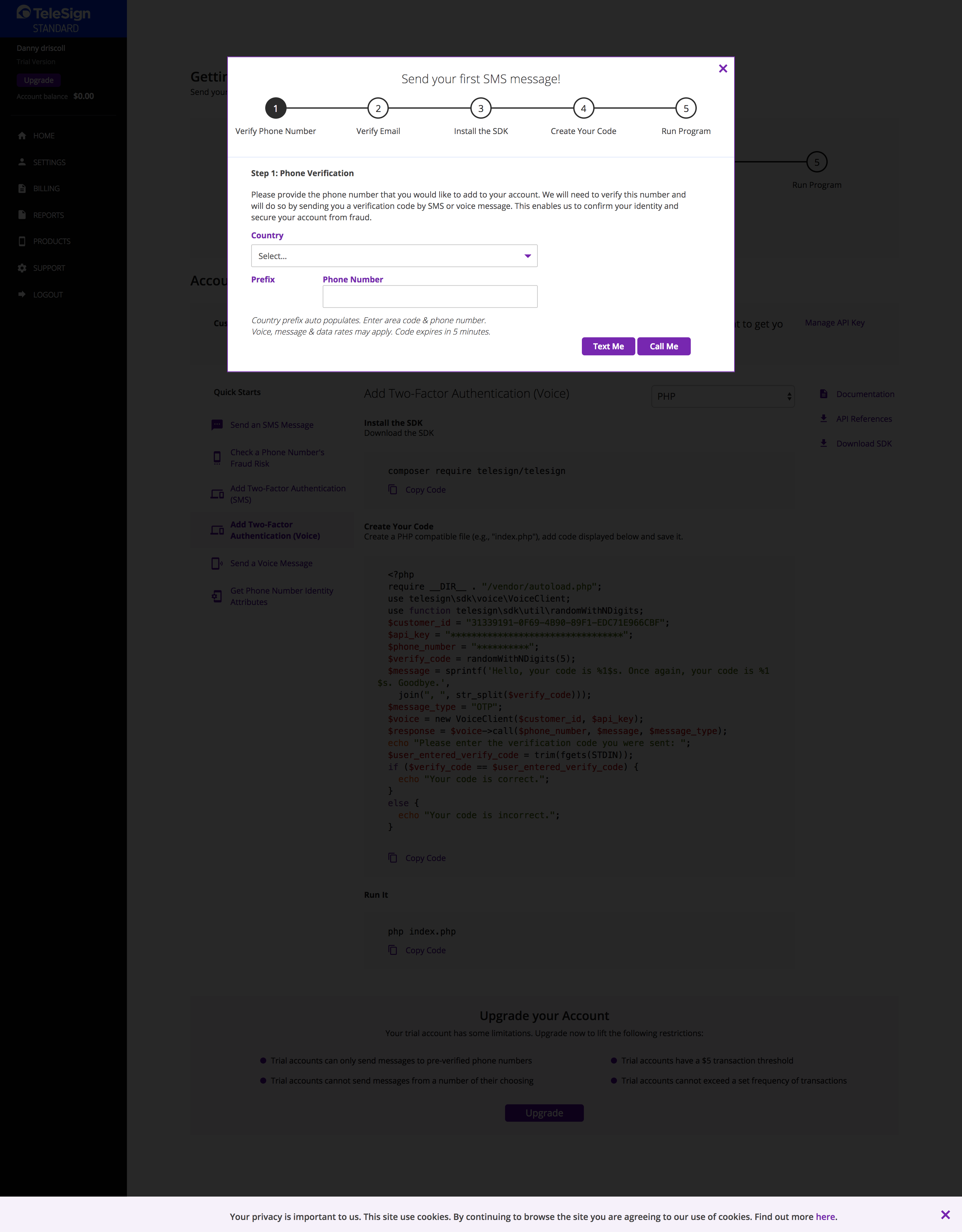 The legacy TeleSign customer portal in 2018 — the before state that drove the self-service portal redesign