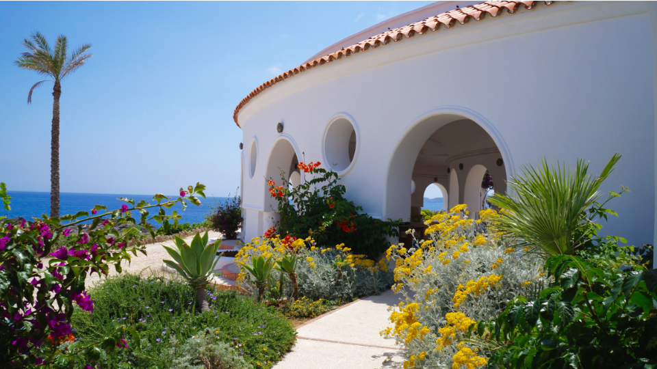 Photography by Danny Driscoll