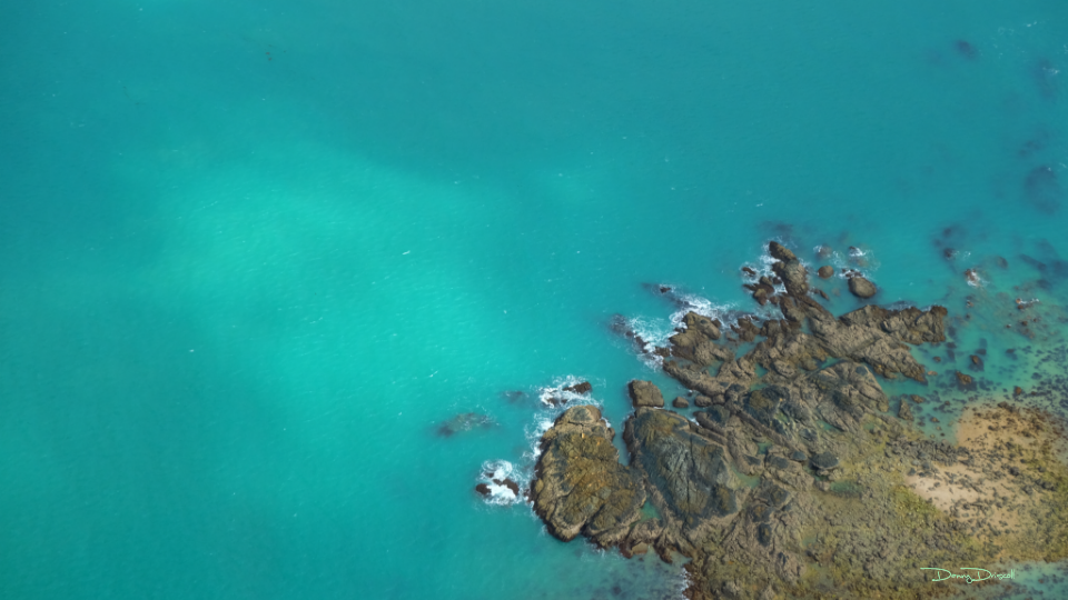 Photography by Danny Driscoll