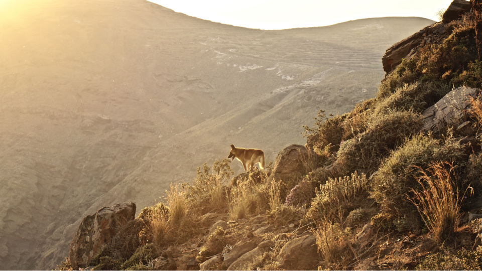 Photography by Danny Driscoll