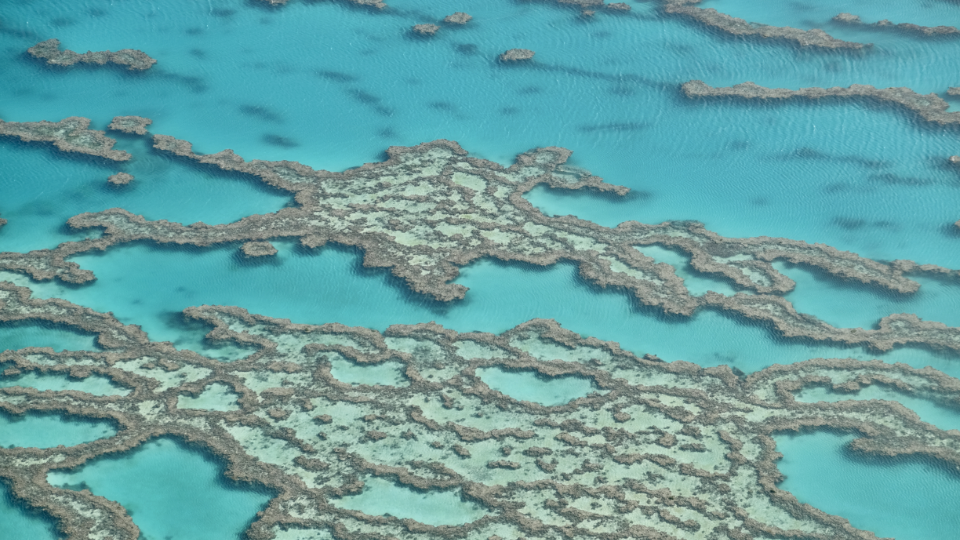 Photography by Danny Driscoll