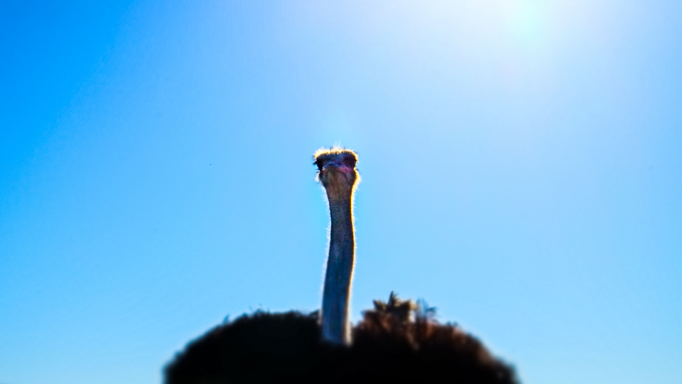 Photography by Danny Driscoll