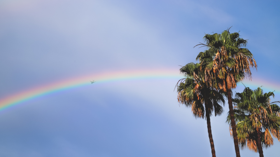 Photography by Danny Driscoll