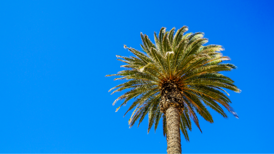 Photography by Danny Driscoll