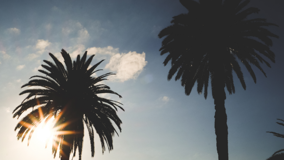 Photography by Danny Driscoll