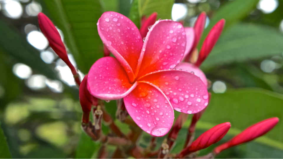 Photography by Danny Driscoll