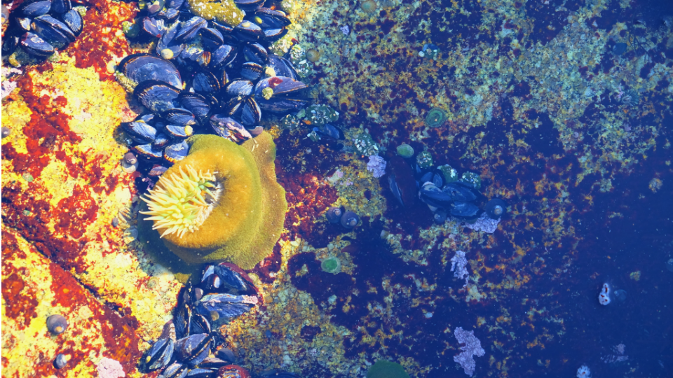 Photography by Danny Driscoll