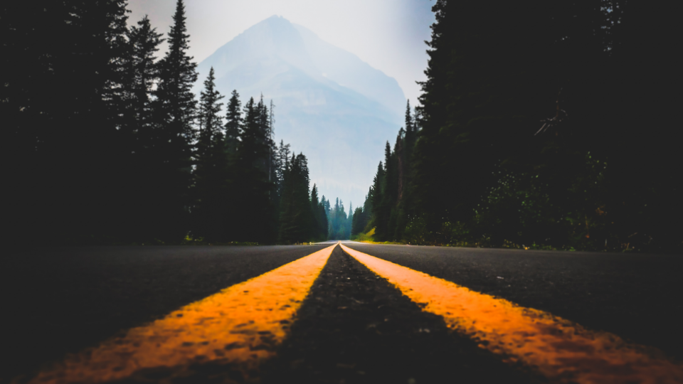 Photography by Danny Driscoll