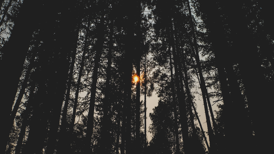 Photography by Danny Driscoll